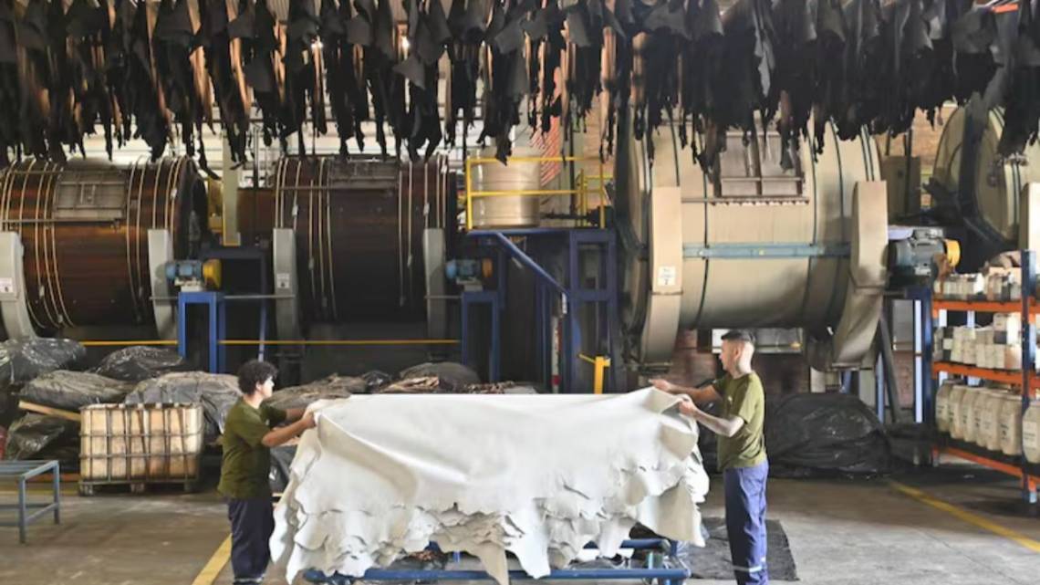 La UE eliminará el cuero de la ley contra la deforestación, tras la presión de la industria