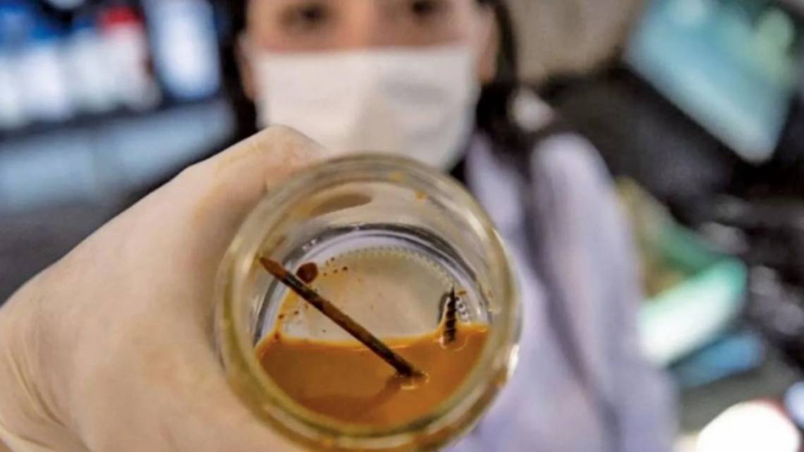 Transforma los residuos mineros y logró financiamiento para crecer