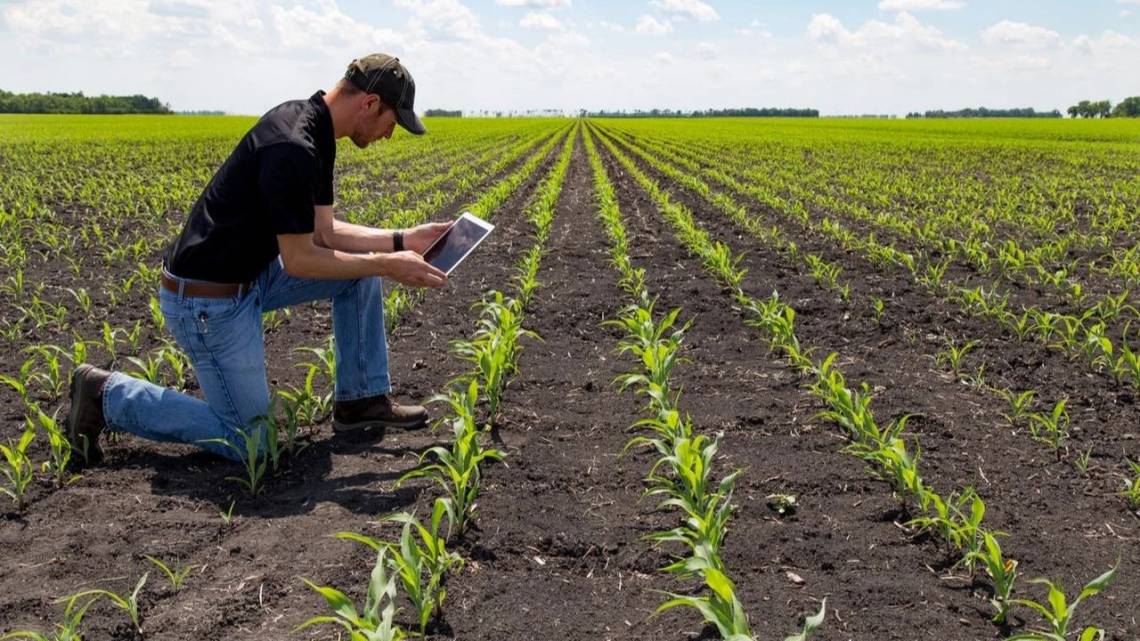 La Rural le quiere poner un sello verde al campo