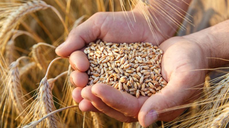 La trazabilidad se convirtió en un tema esencial para la agroindustria por la fuerte presión de los consumidores.