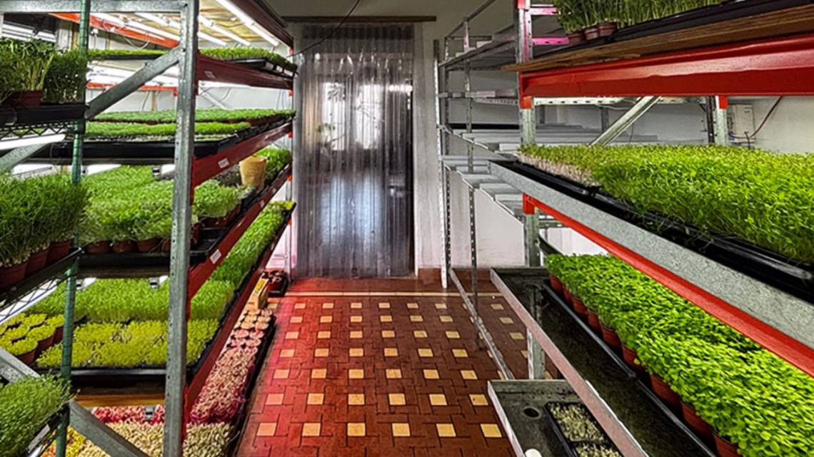 Una huerta sin cielo ni estaciones le pone verde a la gastronomía cordobesa
