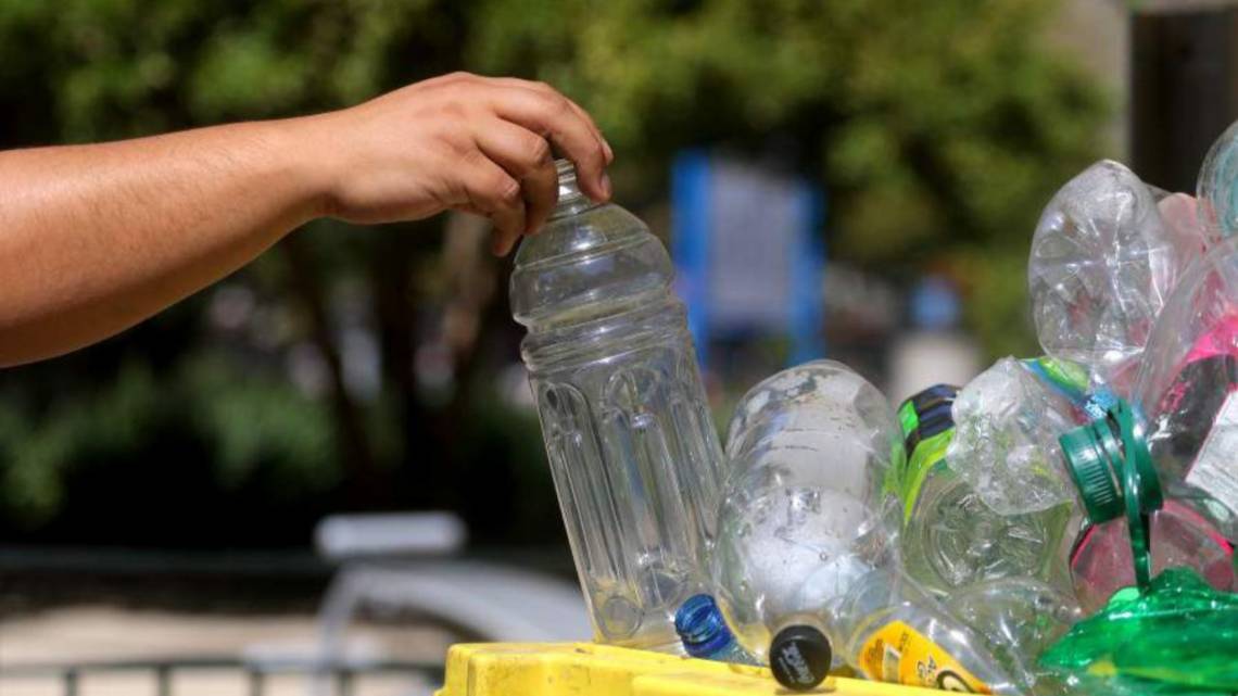 Ecobiz img nota