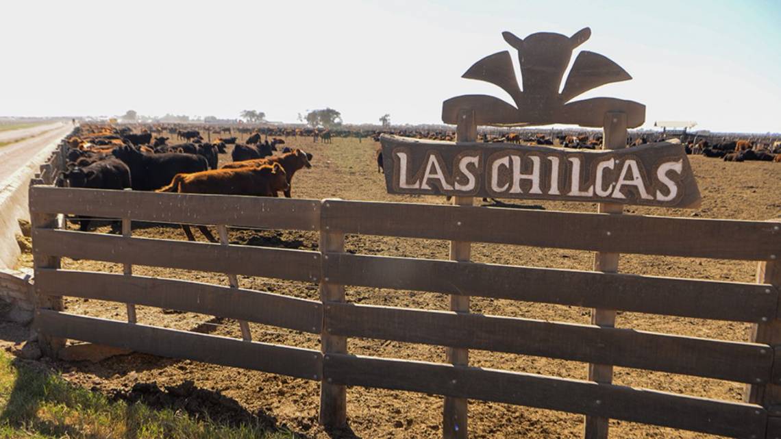 El establecimiento agroindustrial del norte cordobés armó una gestión basada en la economía circular a gran escala.