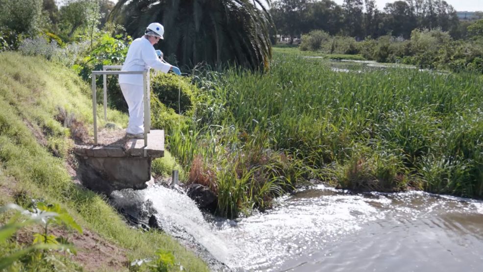 Una de las integrantes del equipo de Paladini toma muestras de calidad de agua  en la laguna, a la altura del punto de vuelco.