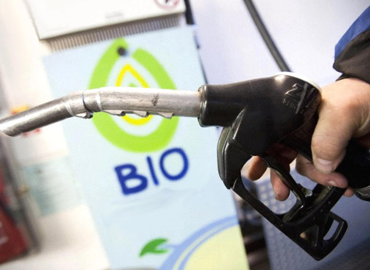 Indonesia mete primera con el uso de biodiesel en base de aceite de palma