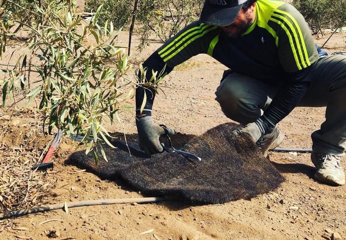 MOT pone en valor dos propiedades del pelo como son repeler el agua y absorber los aceites. 