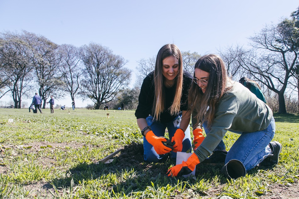 Química armó su propio bosque en las inmediaciones de la planta industrial