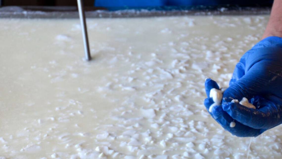 Le sacan el jugo a la leche y fabrican una bebida que revolucionará las góndolas