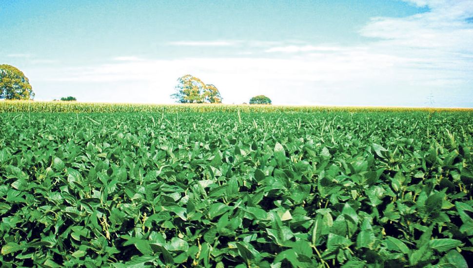 La trazabilidad es un proceso integral que arranca en el campo y termina en la góndola o el surtidor.