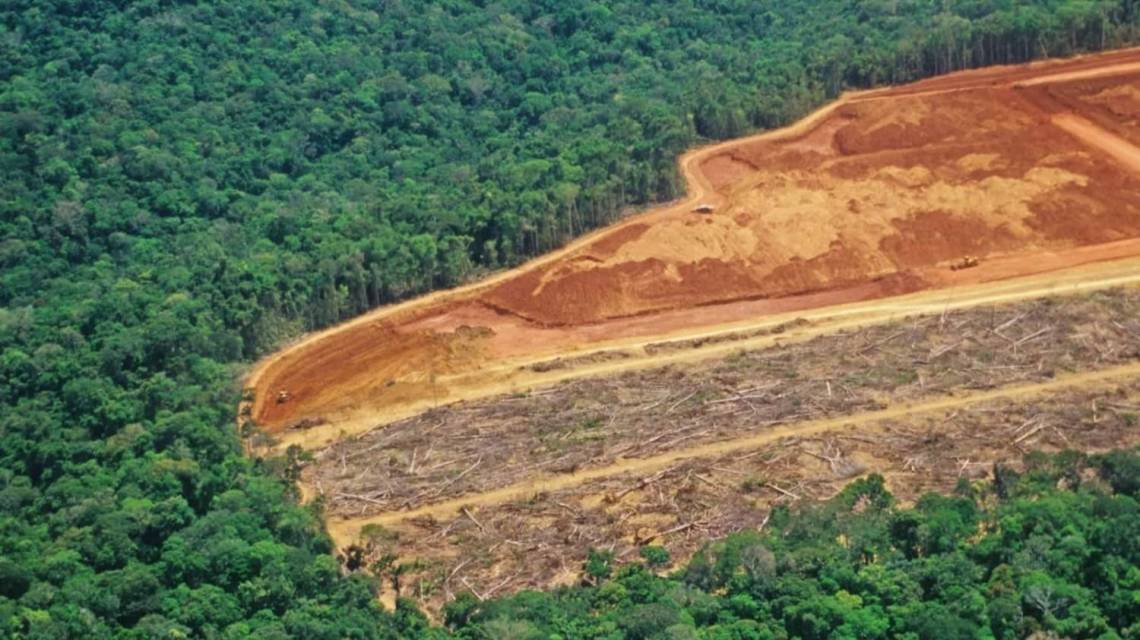 Garantizar los orígenes libres de deforestación de los cultivos va a ser un requisito excluyente para el acceso a los mercados.