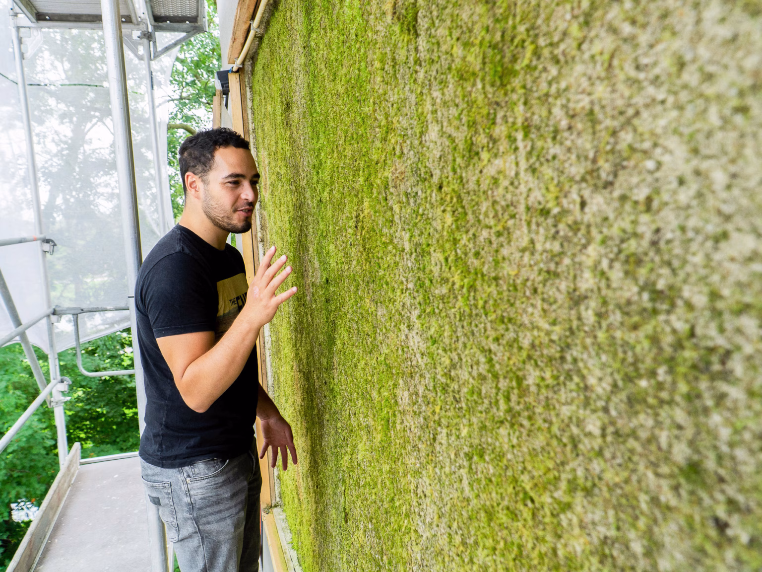Se amigaron con el musgo en la pared y lo transformaron en una solución sostenible