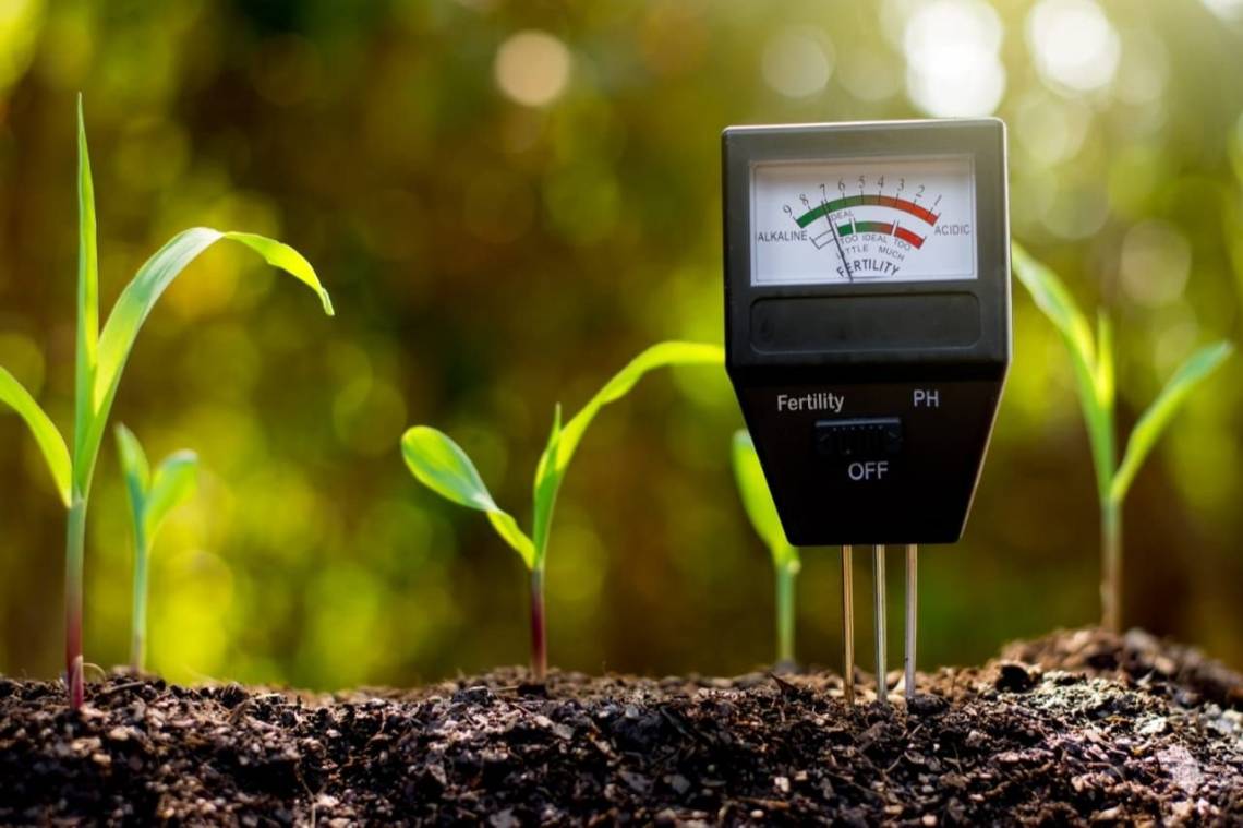 La agricultura tiene el potencial de contribuir a resolver la crisis medioambiental con prácticas amigables y regenerativas.