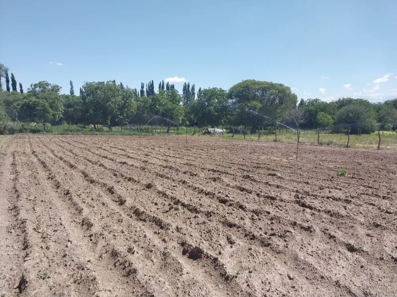En Catamarca, aprovechan el sol para conseguir agua 