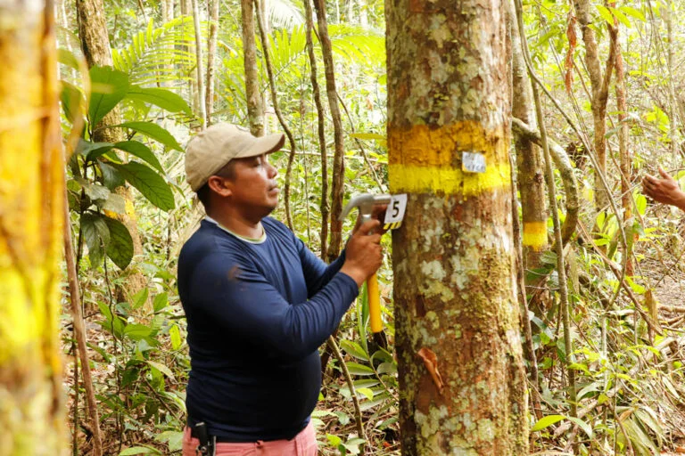 Los guardianes del dinero que también cuidan el ambiente
