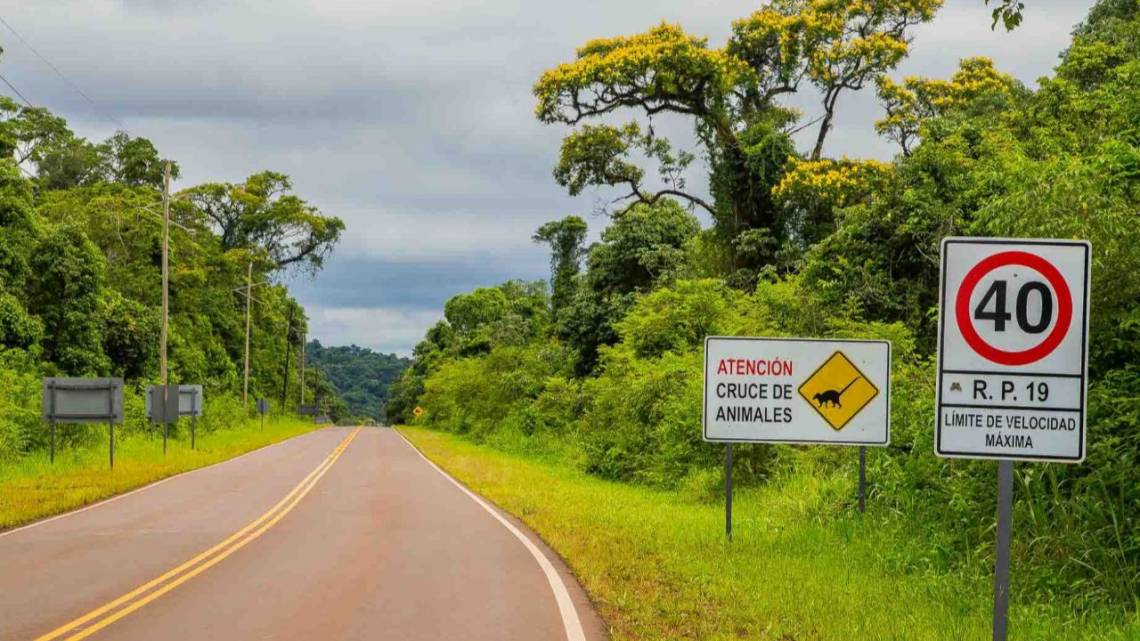 La provincia argentina que lanza el primer bono de carbono estatal del mundo