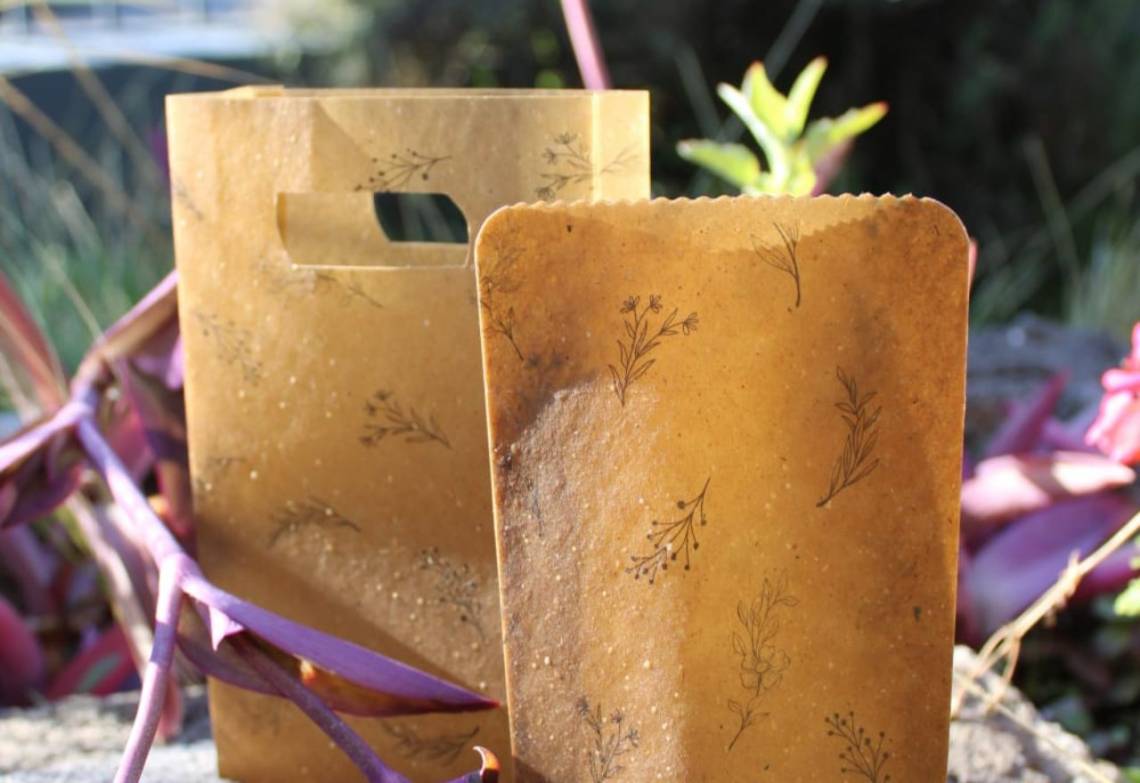 Ni plástico ni papel: crearon un biomaterial que revoluciona la industria del packaging