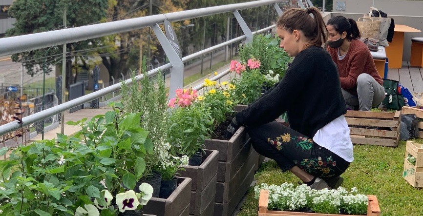 Empezó con una huerta y hoy abastece  jardines a empresas y hogares