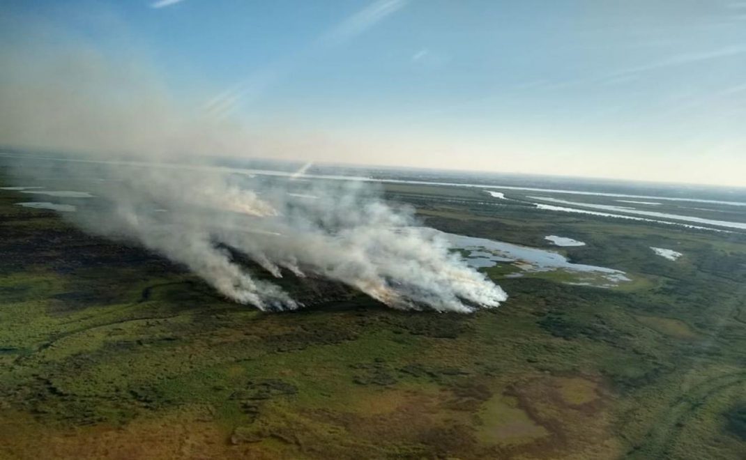 Acción climática: una universidad argentina fue reconocida por Naciones Unidas 