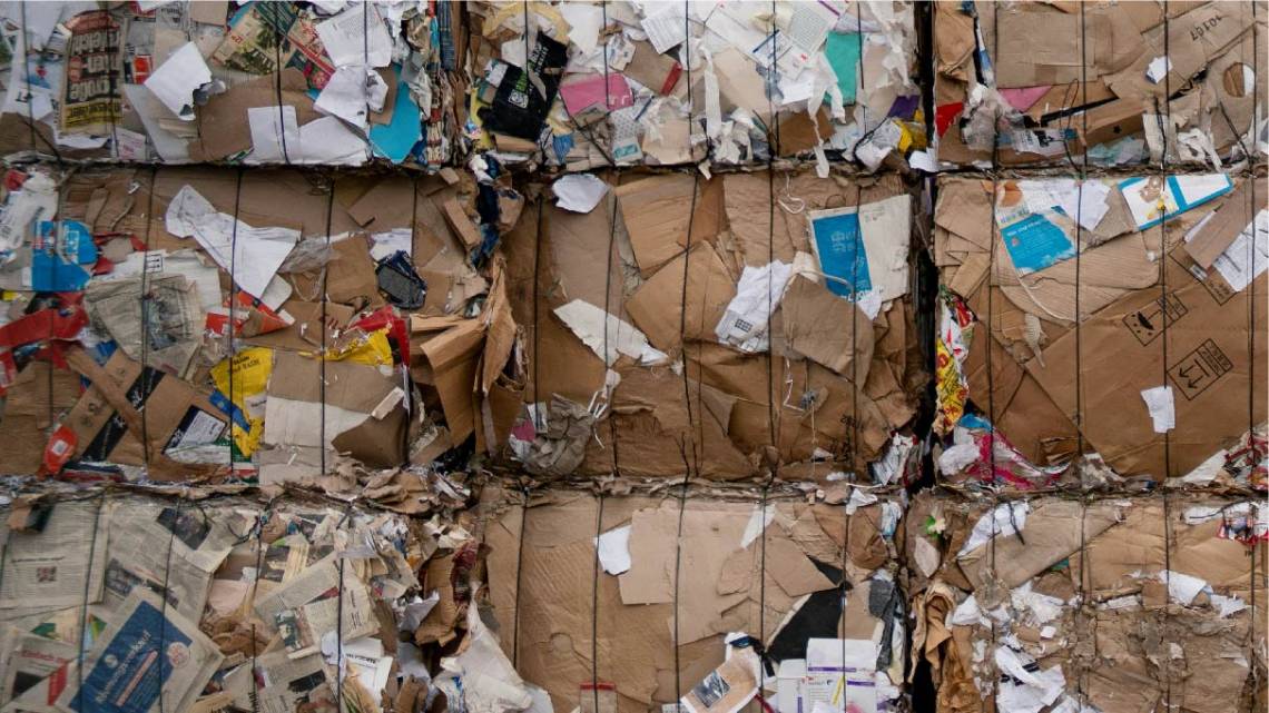 Cranean una forma de hacer más sustentables a las empresas