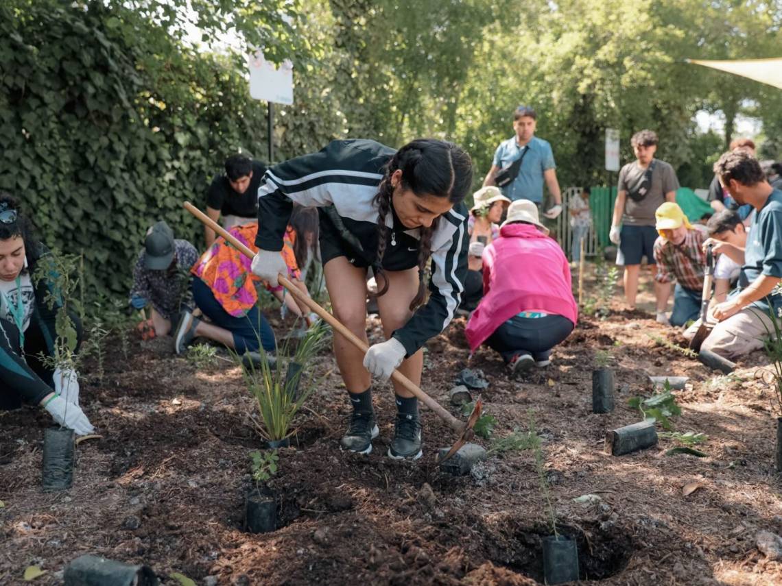 Rosario fue seleccionada como una de las ciudades para llevar adelante acciones ambientales.