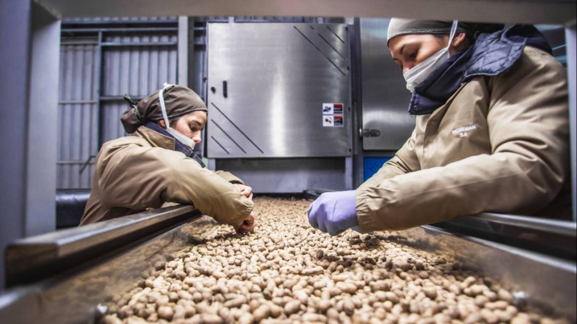 La industria manicera que buscó ayudar a su pueblo y encontró un negocio rentable