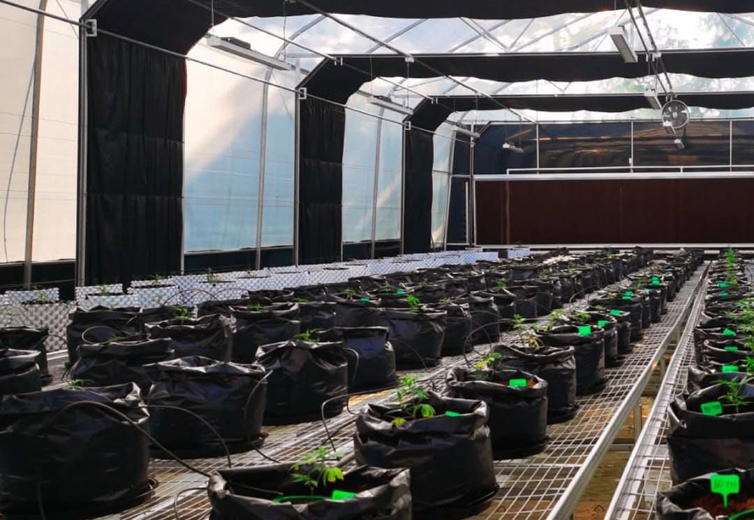 La pyme que ayuda a cuidar energía, agua y alimentos y prepara un robot sembrador