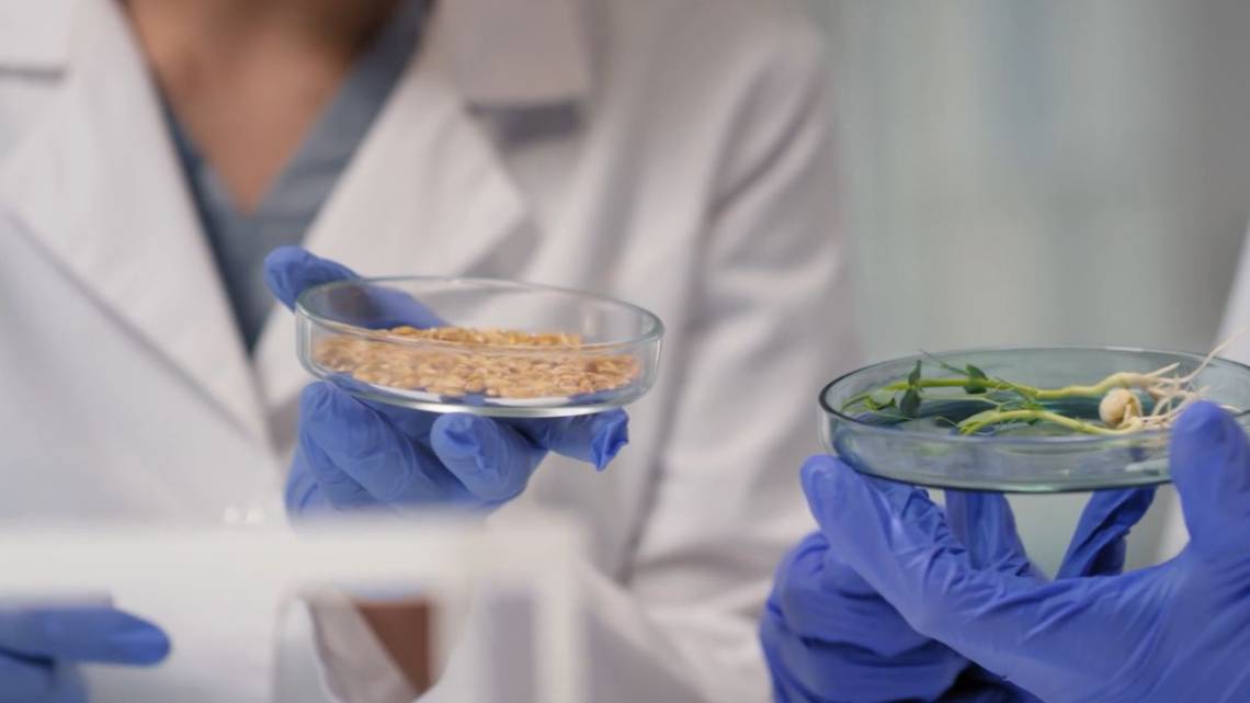 Produce bioinsumos y con capitales propios montó una planta